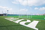 Artificial Turf Ground